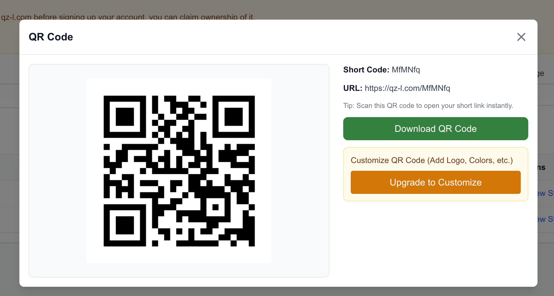 Customize QR Code modal